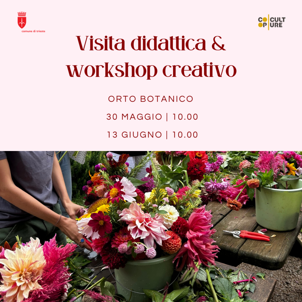 Photo da Ufficio Stampa Comune di Trieste